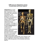 Differences in Adaptations among Neanderthals and Homo Sapiens