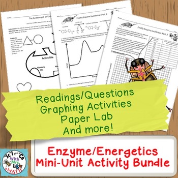 Enzyme Mini-Unit: Worksheets, Graphing Activities, and Paper Substrate Lab