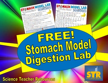 FREE Stomach Model Digestion Lab