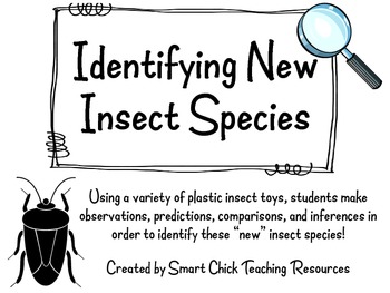 Identifying New or Unknown Insect Species ~ Classification Lab