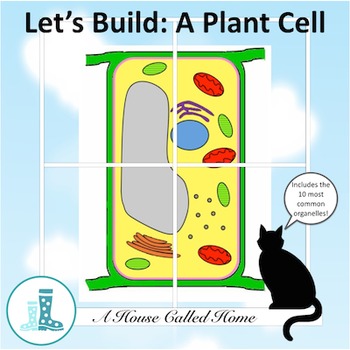 Let's Build: A Plant Cell