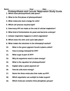 Photosynthesis & Cellular Respiration Study Guide
