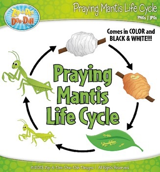 praying mantis clipart black and white