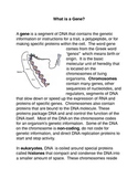 What is a Gene? Common Core activities