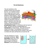 What is the Cell Membrane? Common Core Activity