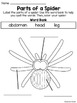 All About Spiders Worksheets