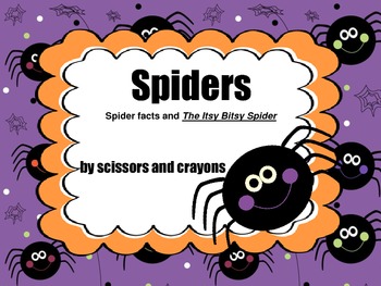 FREE- Spiders and Itsy Bitsy Spider
