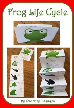 Frog folding Life Cycle Activity