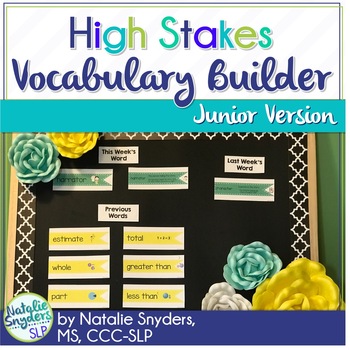 High Stakes Testing: Vocabulary Builder:  1st - 4th Grades