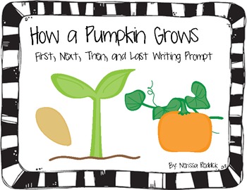 How a Pumpkin Grows: First, Next, Then, After, Finally