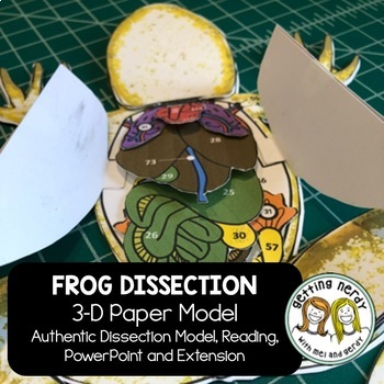 3-D Frog Anatomy Interactive Science Notebook Model for Dissection