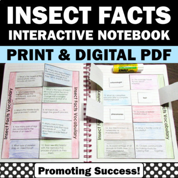 Insect facts for your studentsTeachers Pay Teachers Promoting-Success