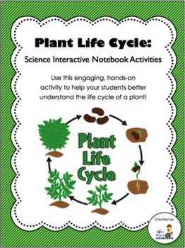 Plant Life Cycle Anchor Chart
