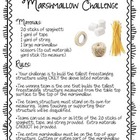 Marshmallow Challenge Handout