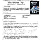 Marshmallow Flight Lab