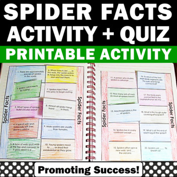 Spiders and Bug facts for your studentsTeachers Pay Teachers Promoting-Success